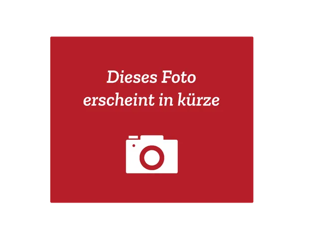 oranier-lea-aktivkohlefilter-dunstabzug-ersatz image 1